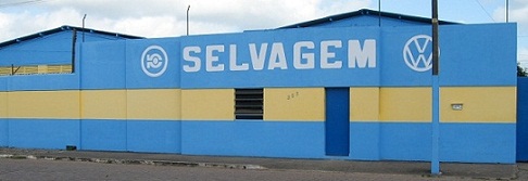Buggy Selvagem